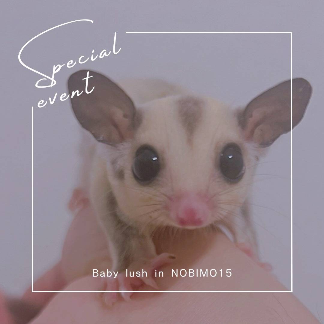 おむかえがきまりました