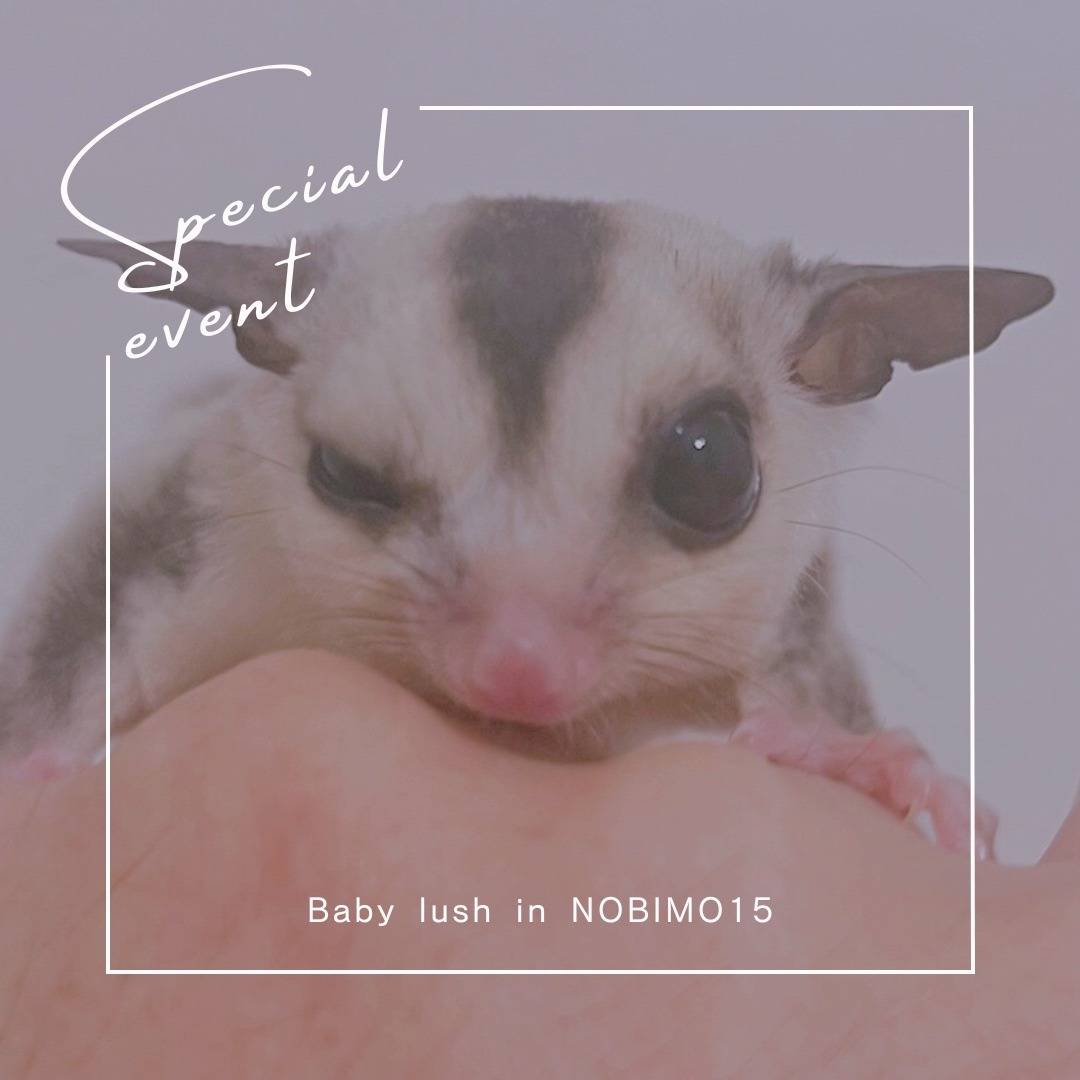 おむかえがきまりました