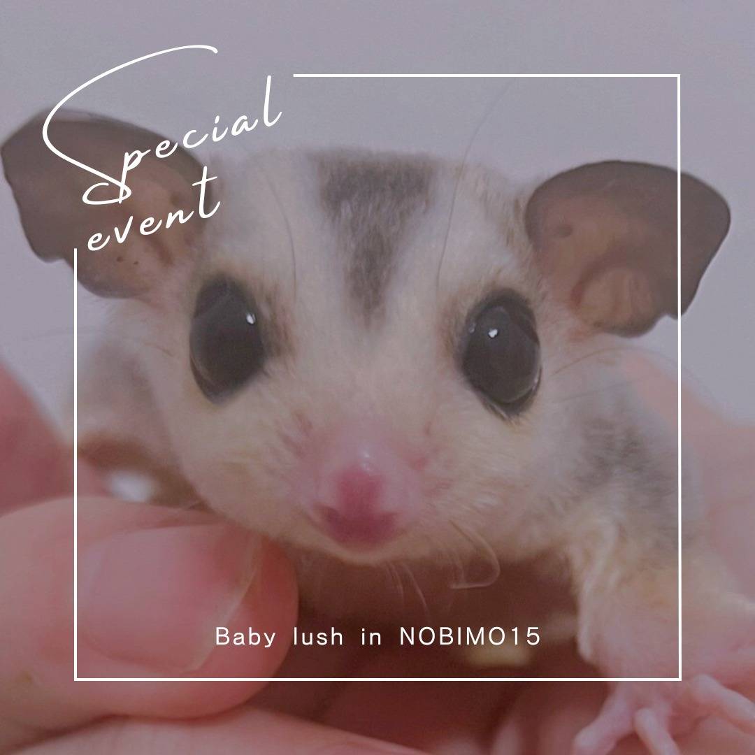 おむかえがきまりました