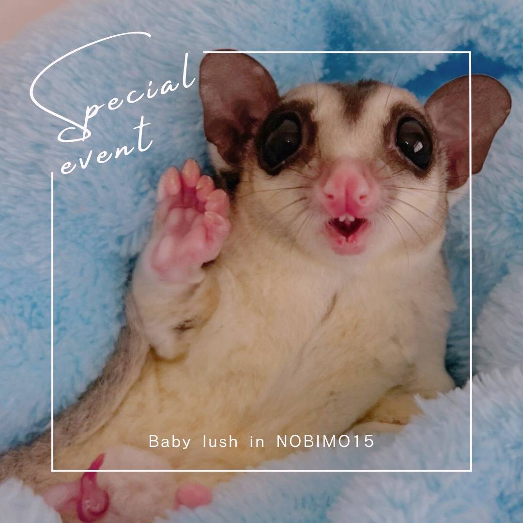 おむかえがきまりました