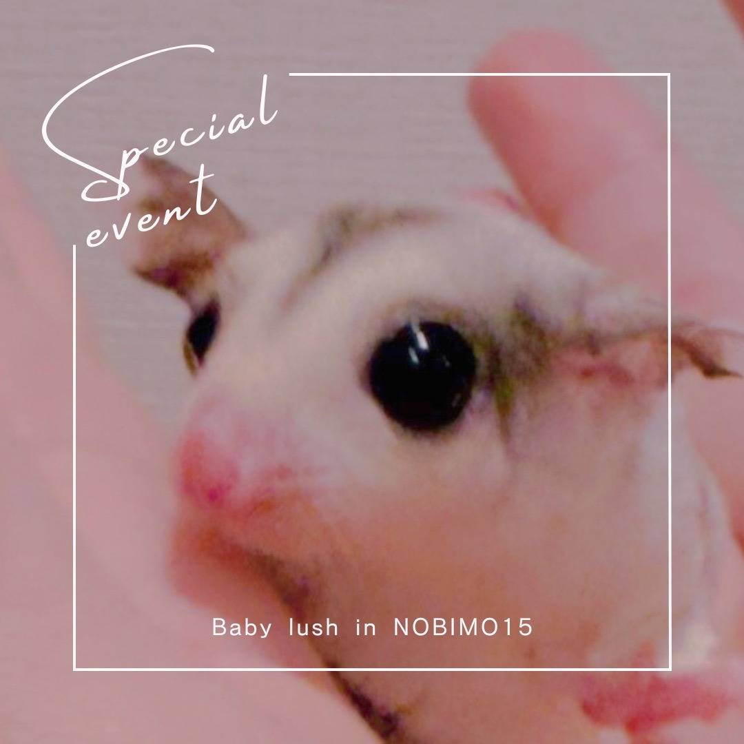 おむかえがきまりました