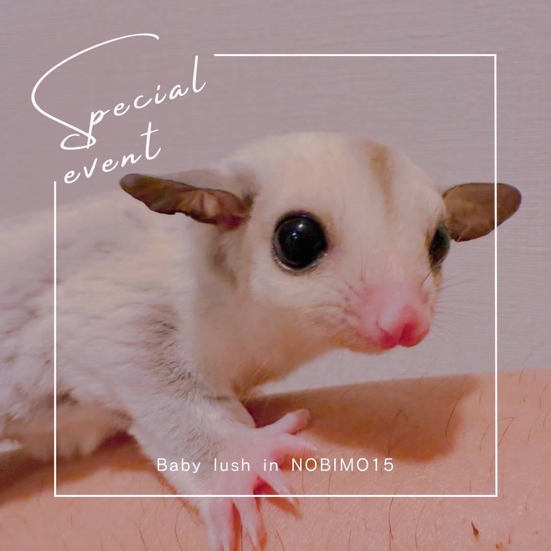 プラチナ おとこのこ