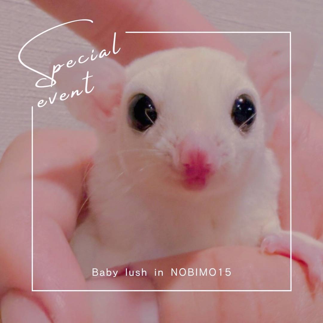 おむかえがきまりました