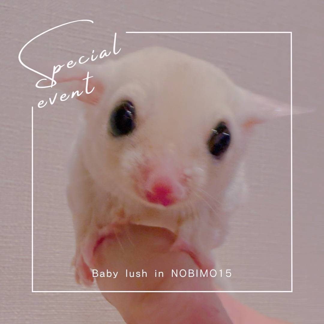 おむかえがきまりました