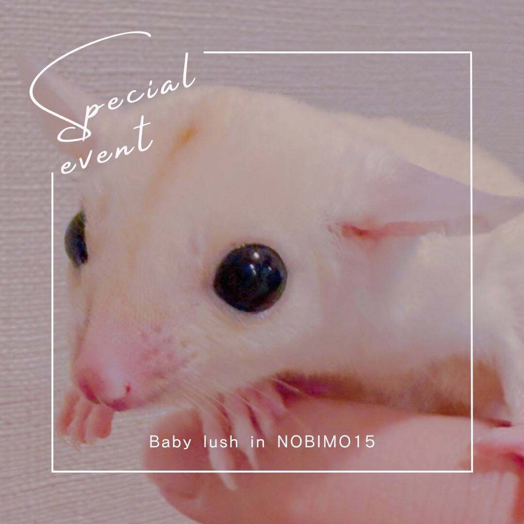 おむかえがきまりました