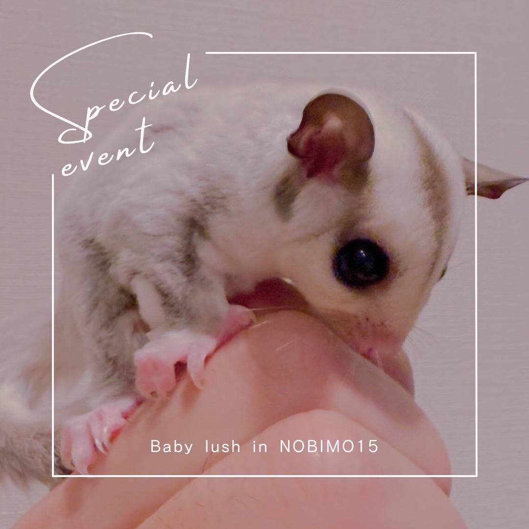 おむかえがきまりました