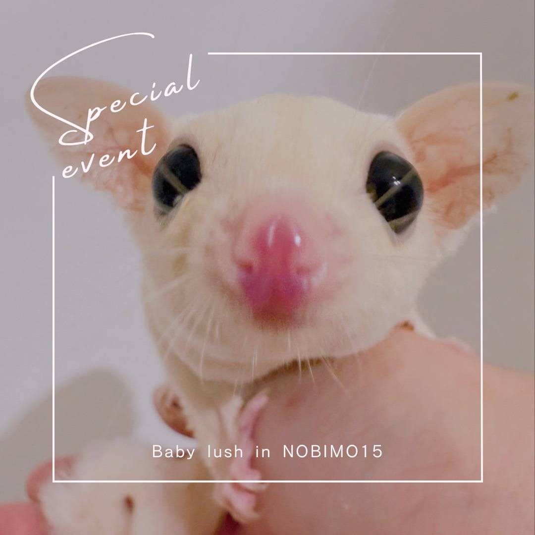 おむかえがきまりました