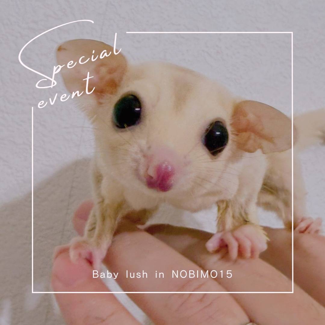 おむかえがきまりました