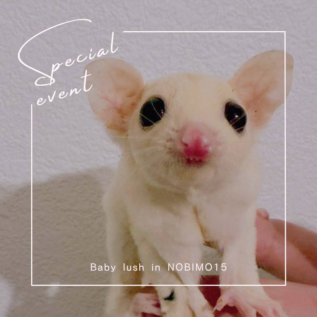 おむかえがきまりました