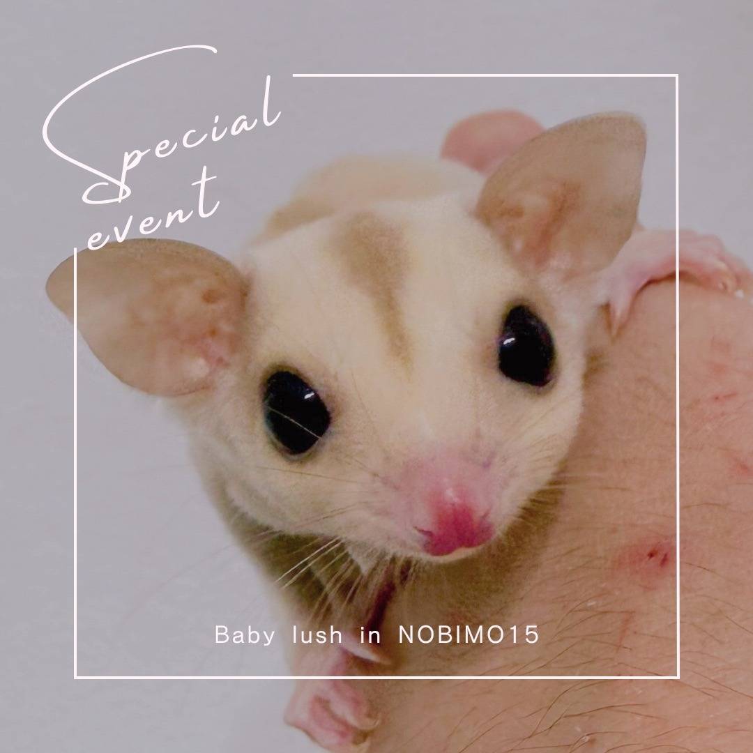 おむかえがきまりました