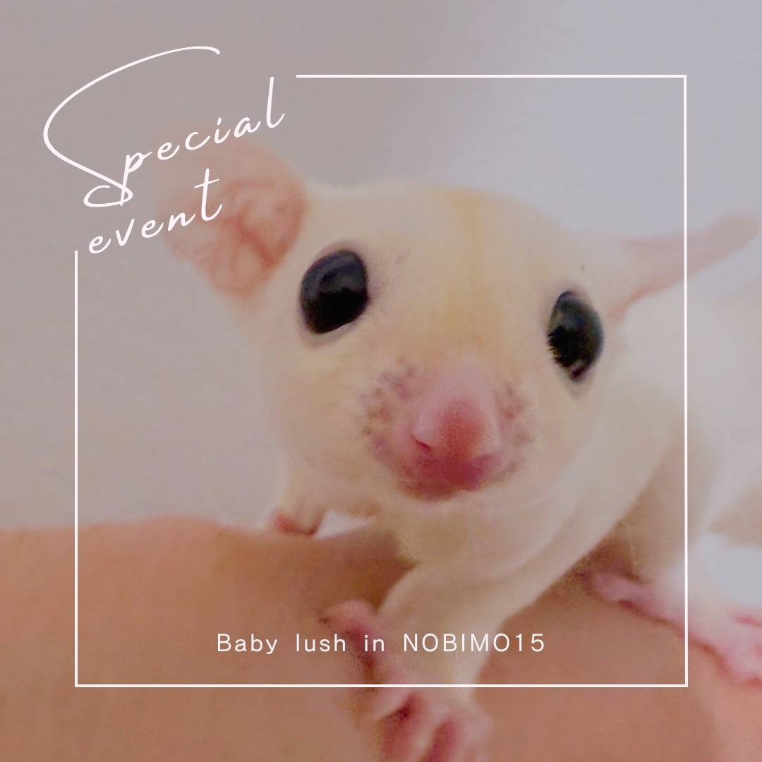 おむかえがきまりました