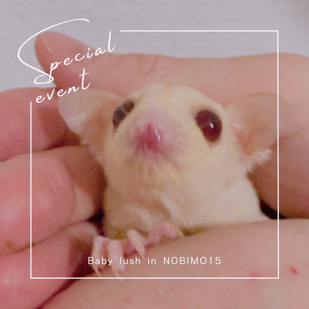 おむかえがきまりました