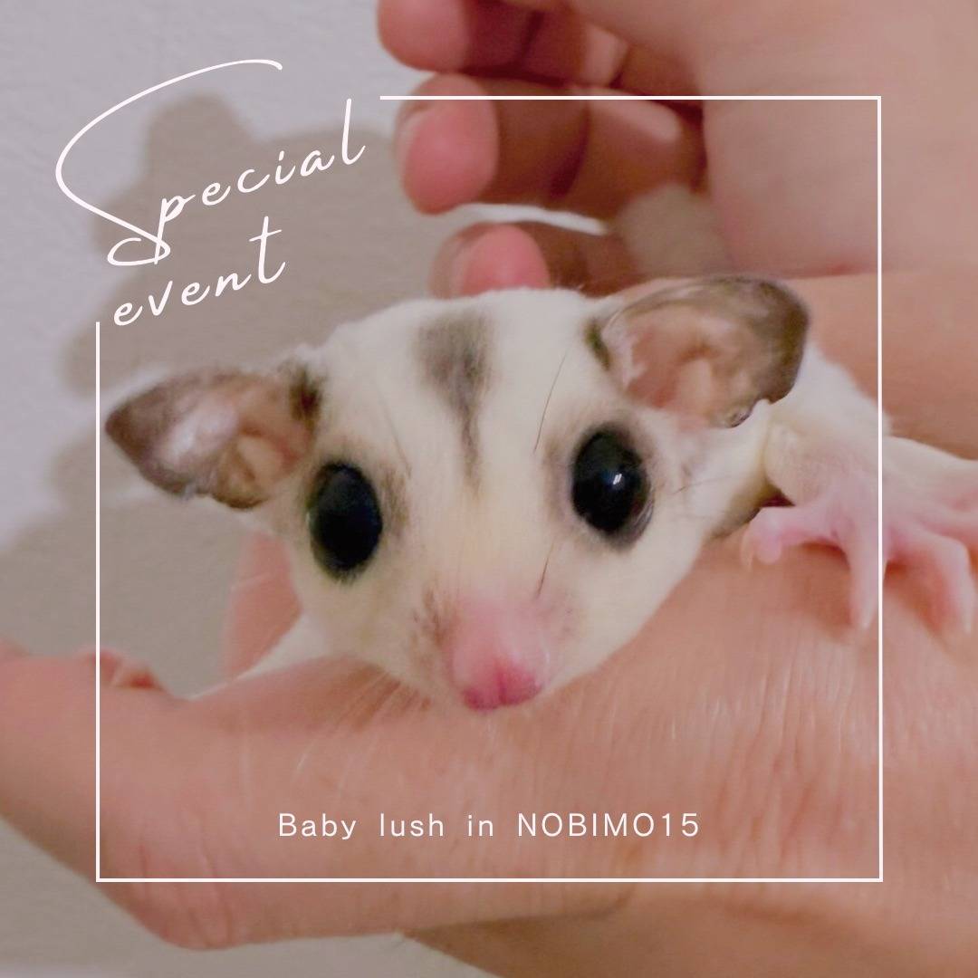 おむかえがきまりました