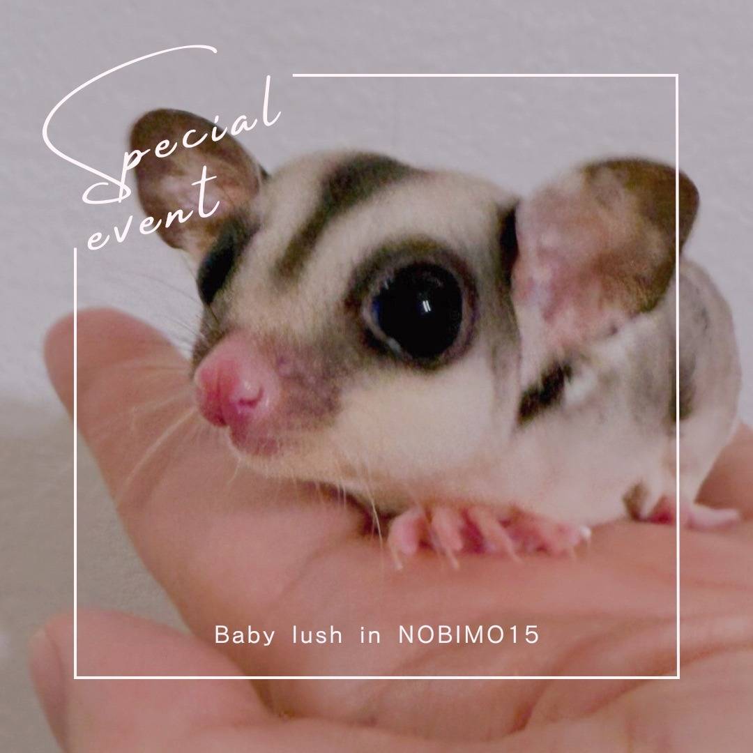 おむかえがきまりました