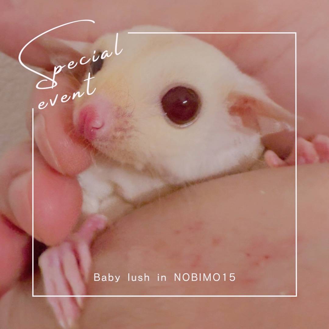 おむかえがきまりました