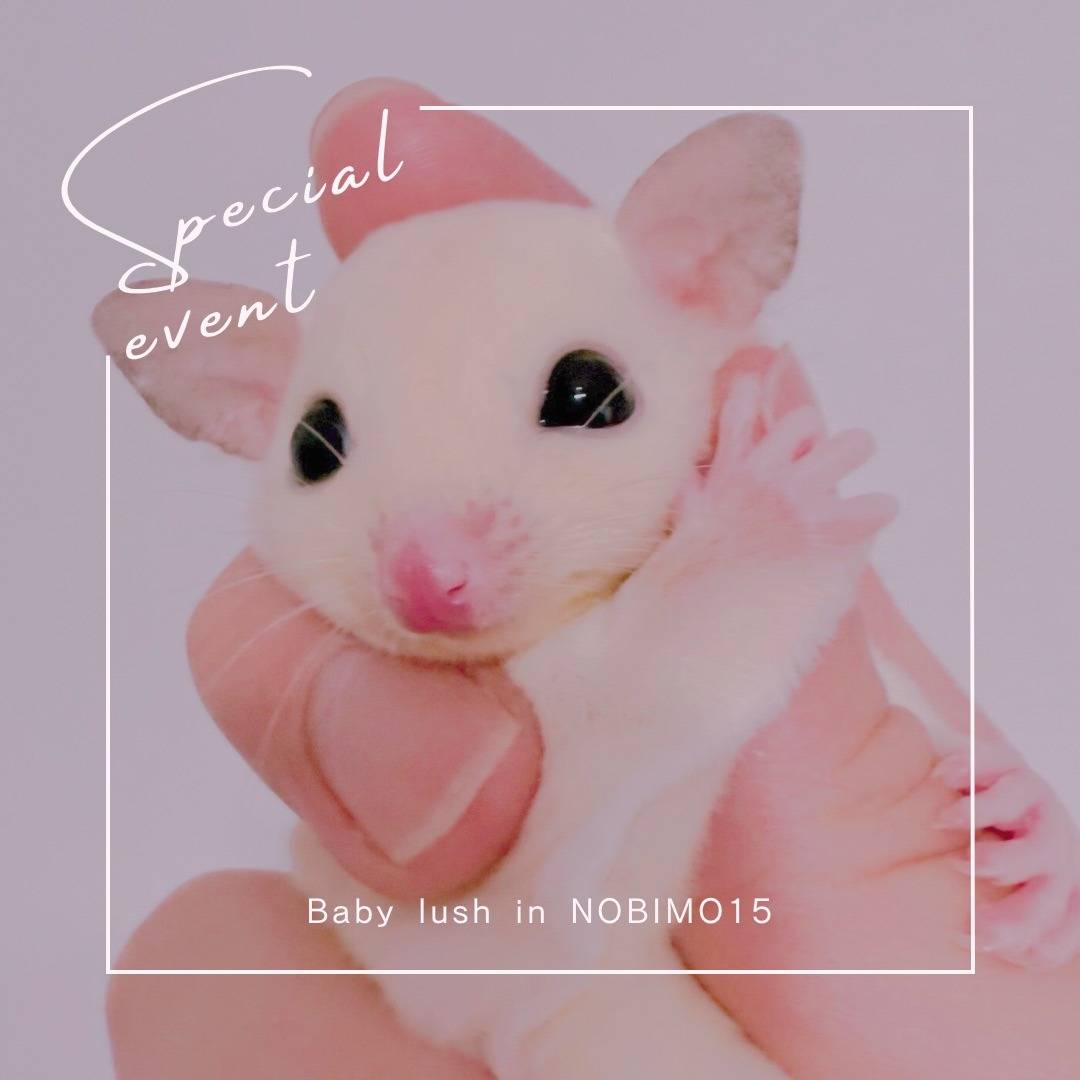 おむかえがきまりました