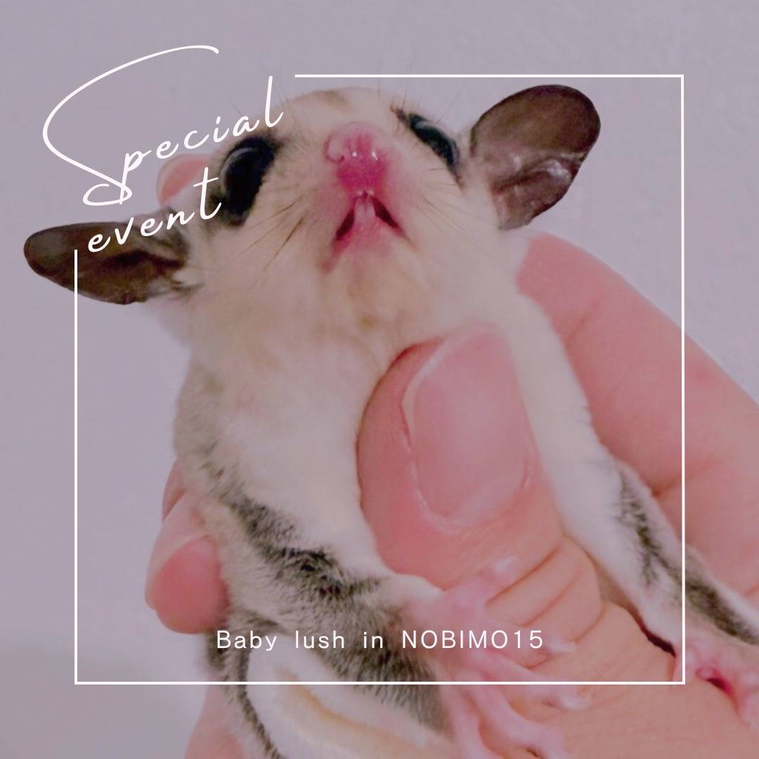 おむかえがきまりました