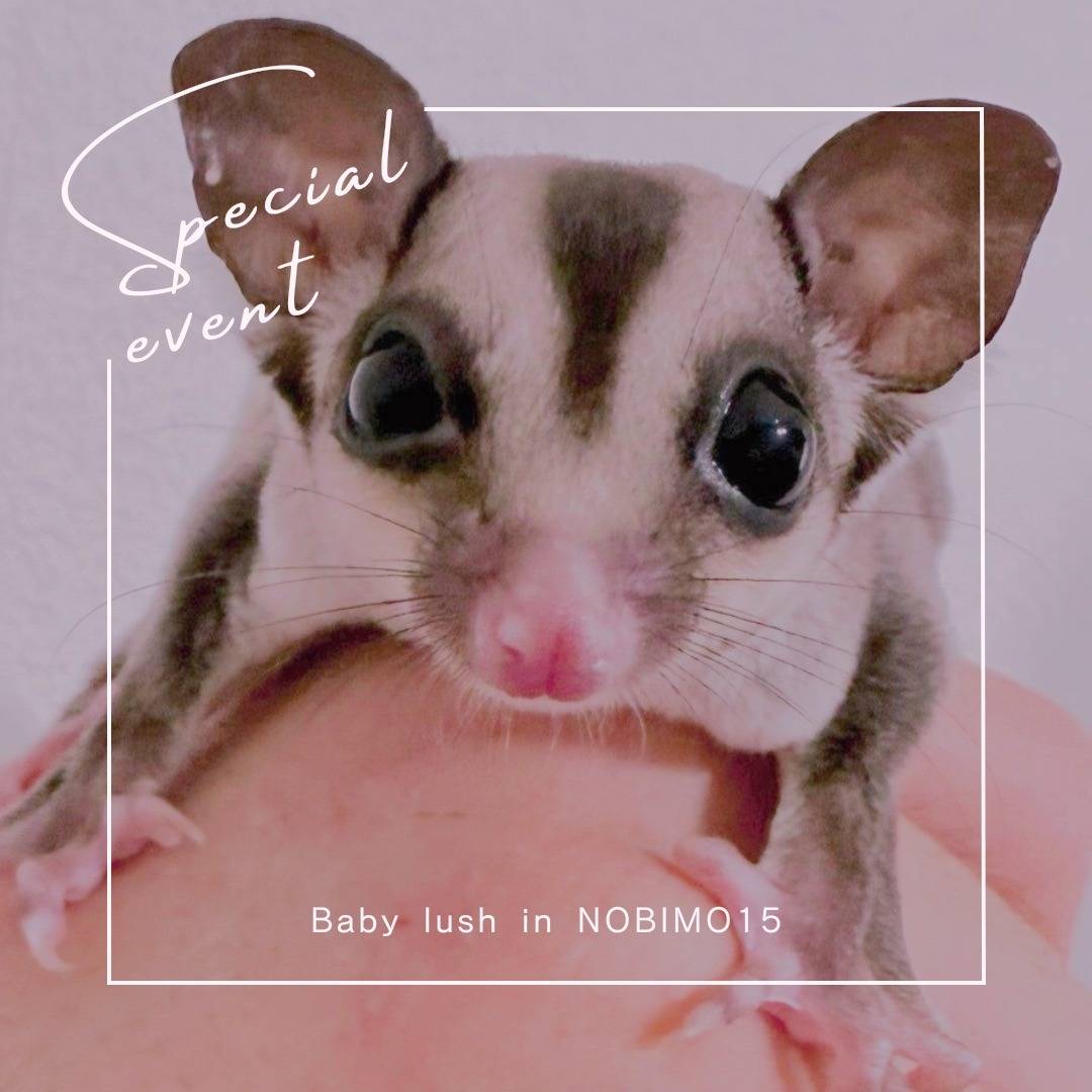 おむかえがきまりました