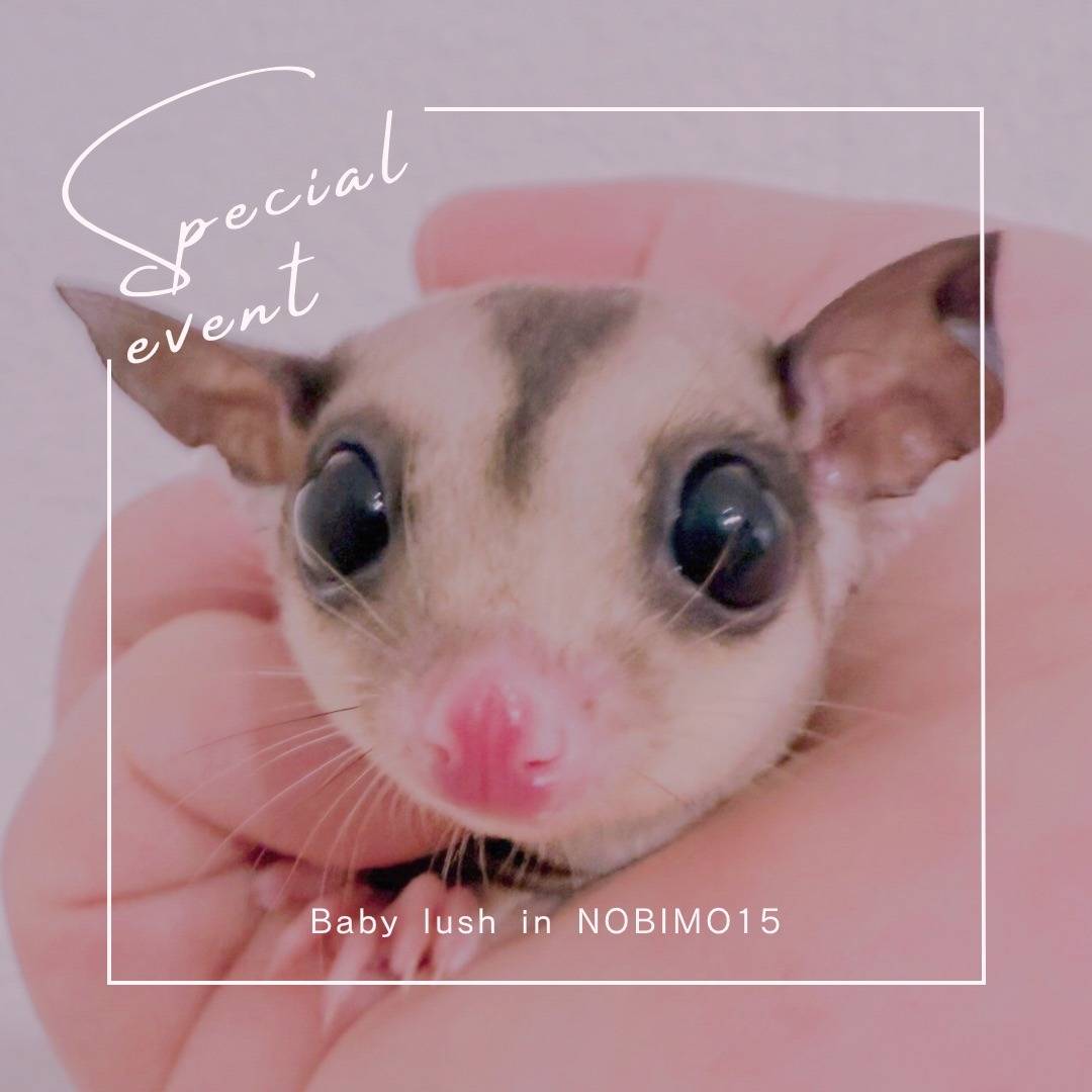 おむかえがきまりました