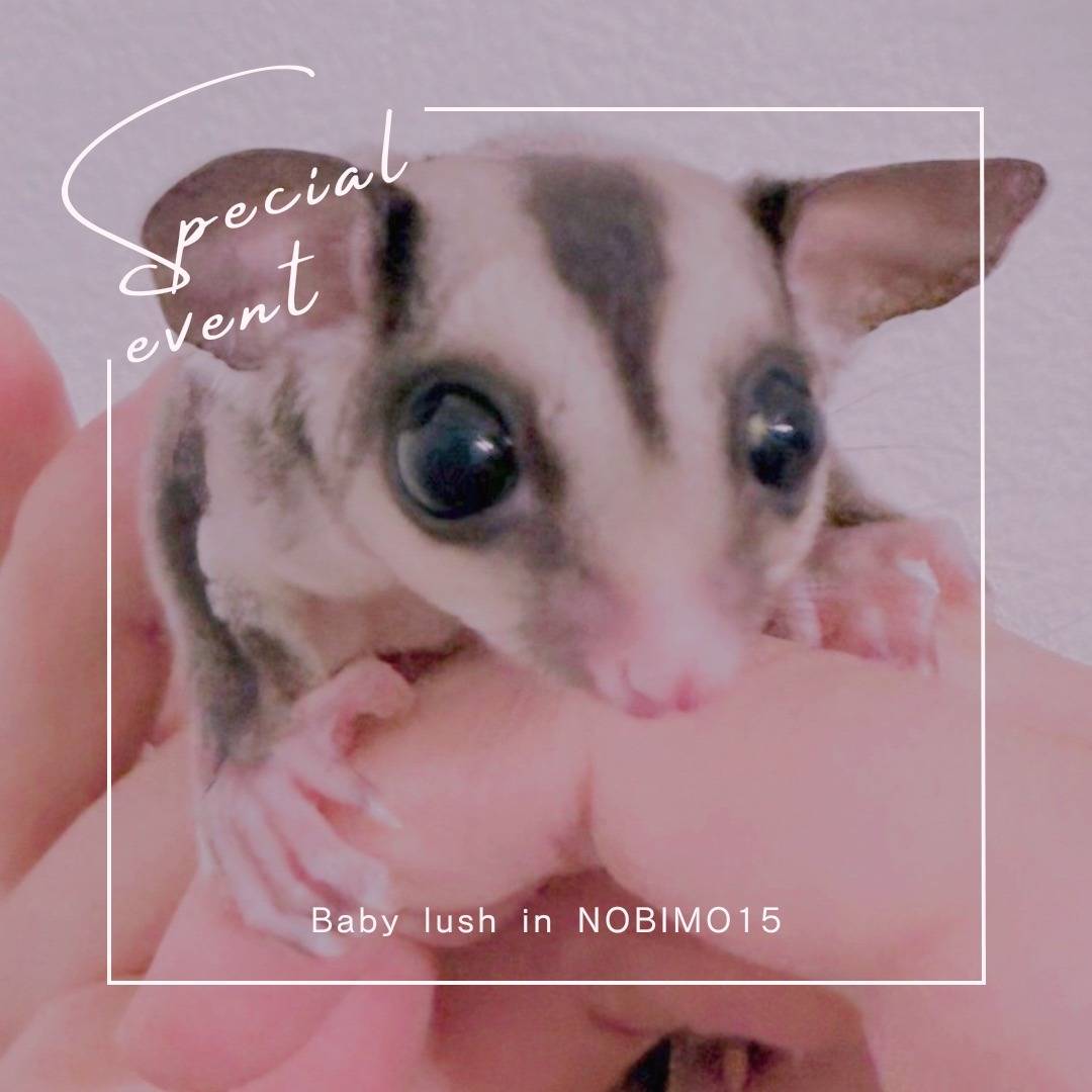 おむかえがきまりました