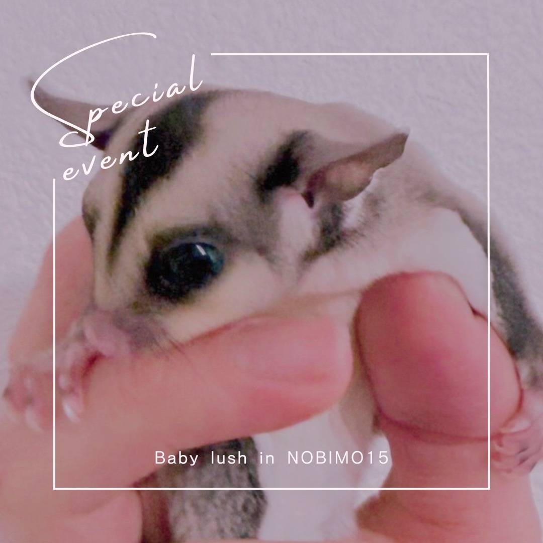 おむかえがきまりました