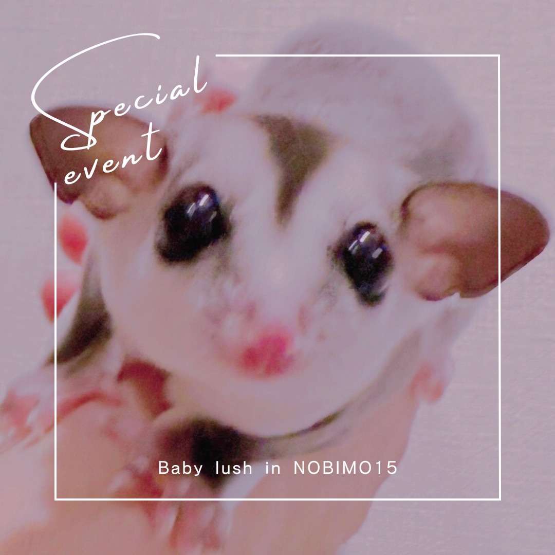 おむかえがきまりました