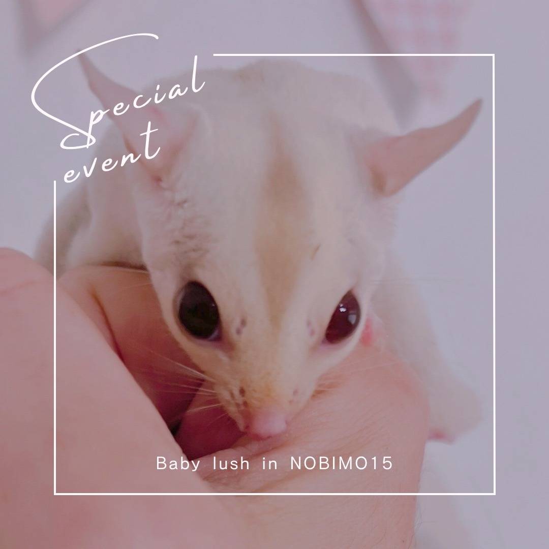 クリミノ　おとこのこ①