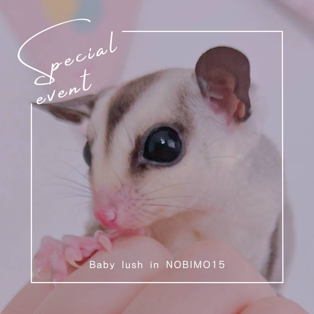 おむかえがきまりました