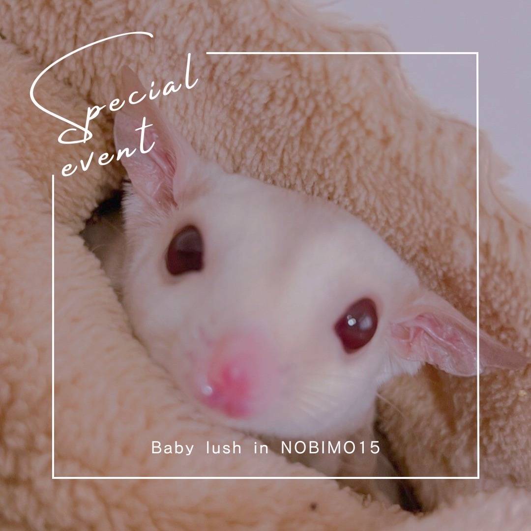 クリミノ　おとこのこ②