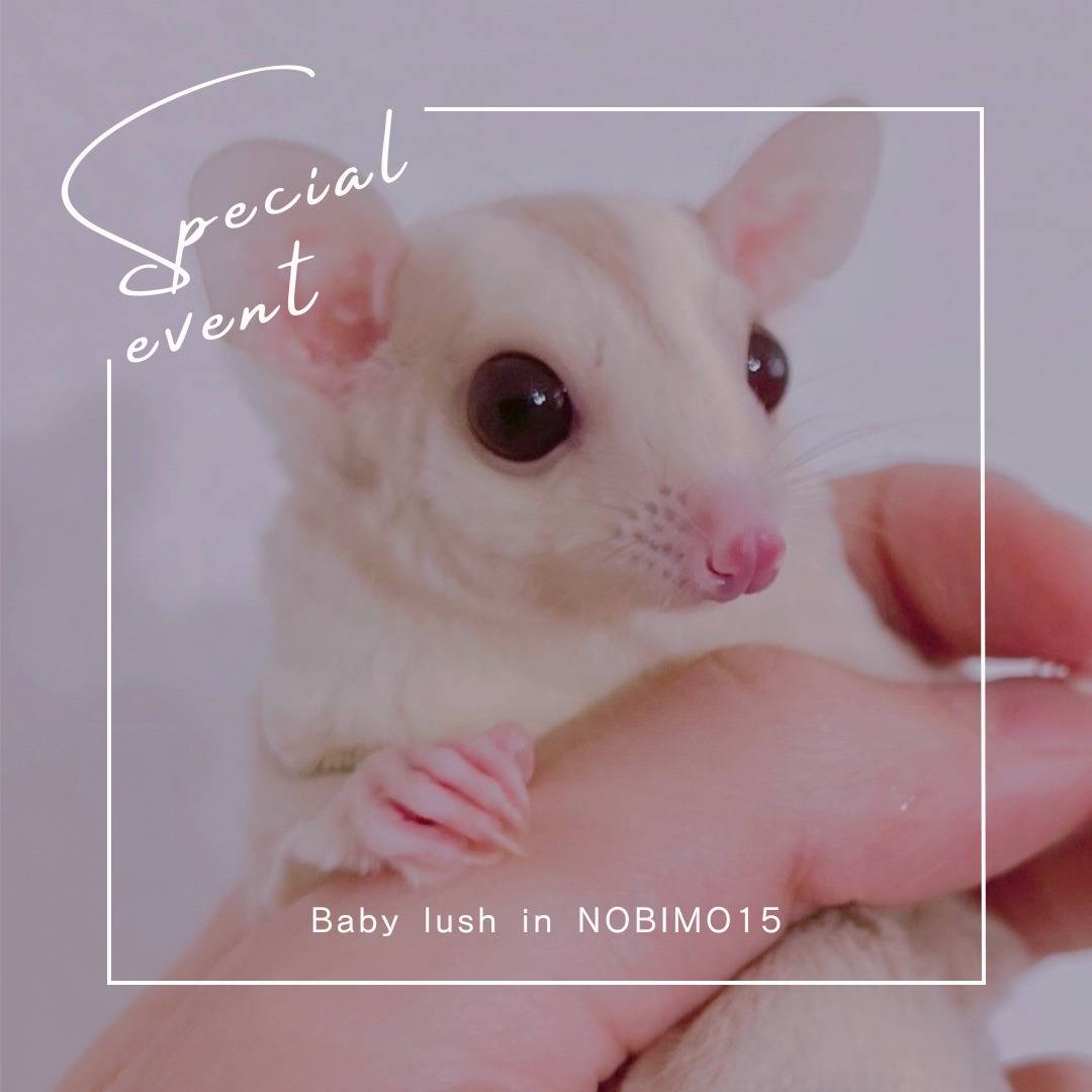 おむかえがきまりました