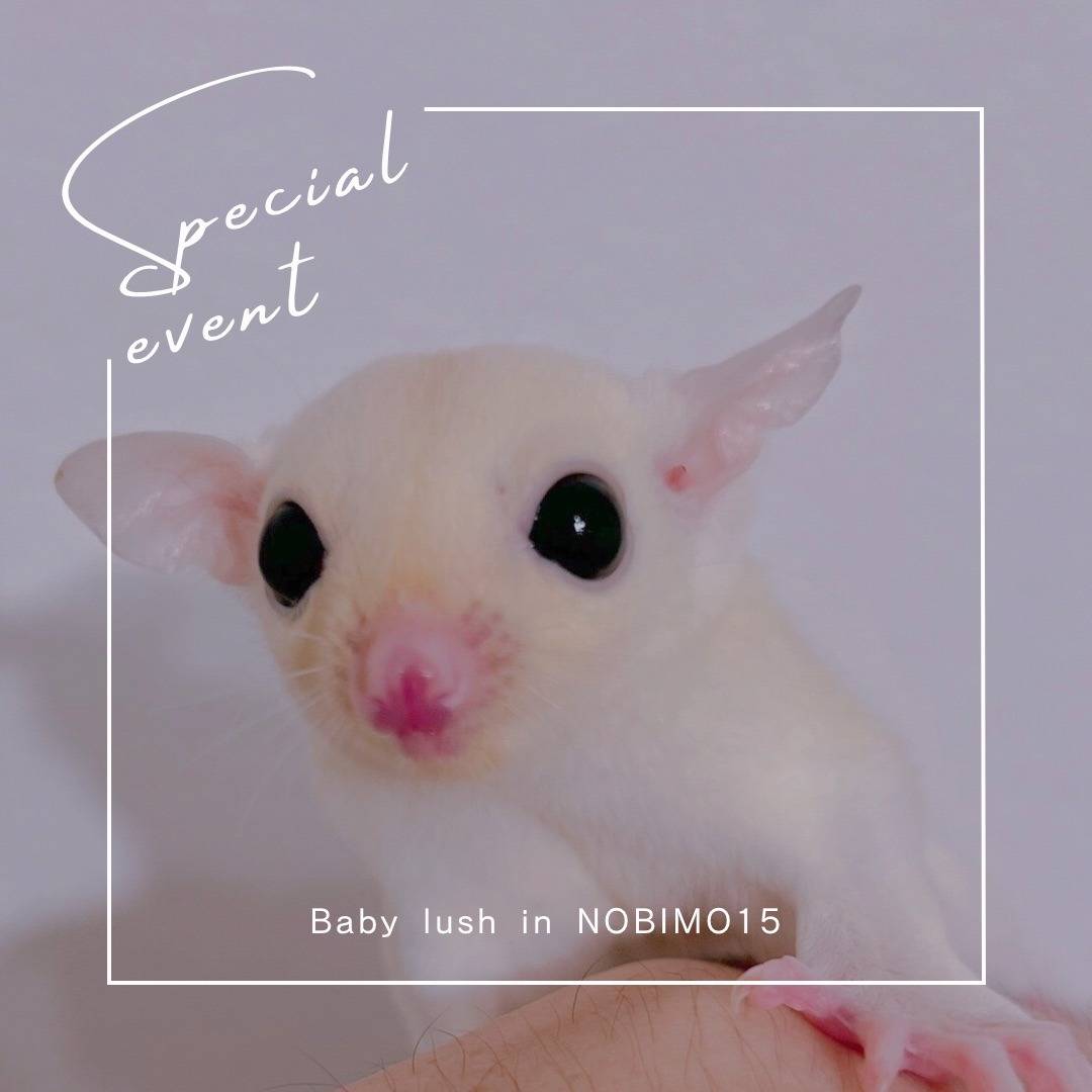 おむかえがきまりました