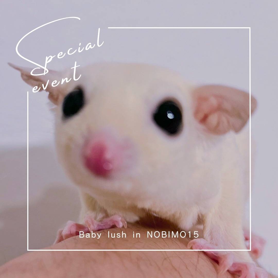 おむかえがきまりました