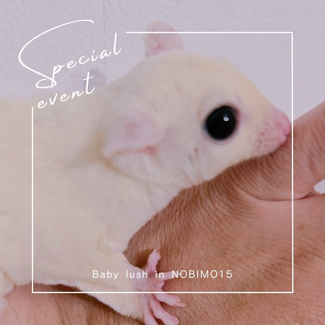 おむかえがきまりました