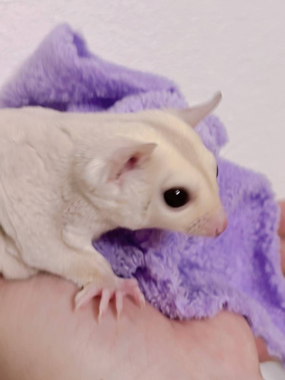 クリミノ おとこのこ③