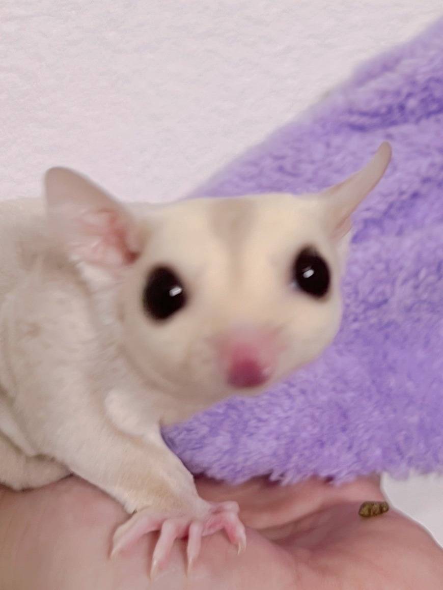 クリミノ おとこのこ③