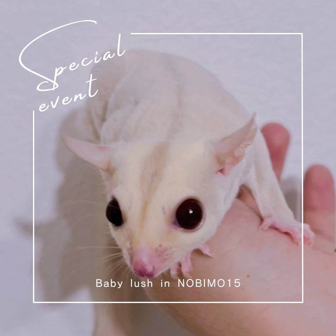 クリミノ　おとこのこ③