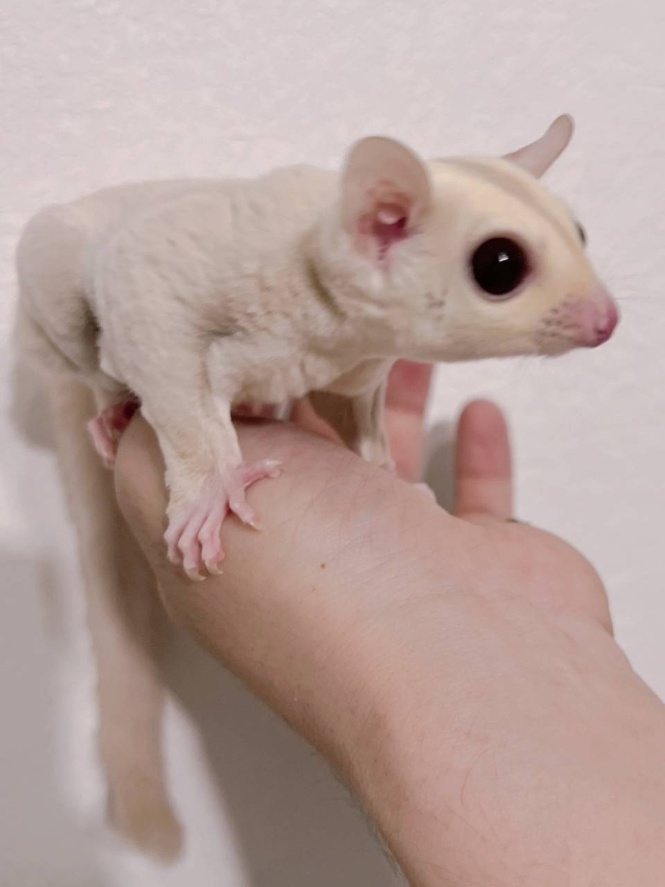 クリミノ おとこのこ③