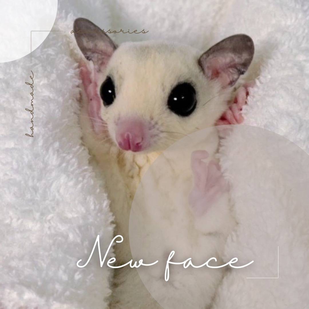 モザイク おとこのこ