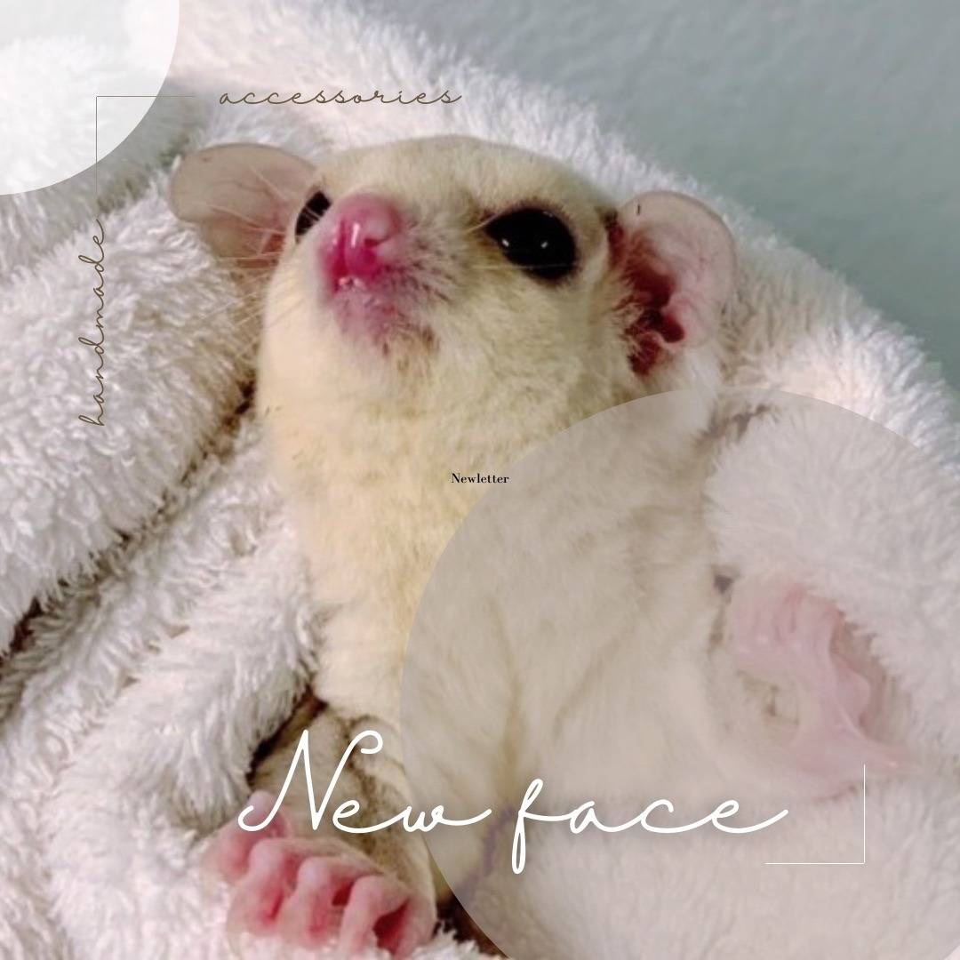 クリミノ　おんなのこ