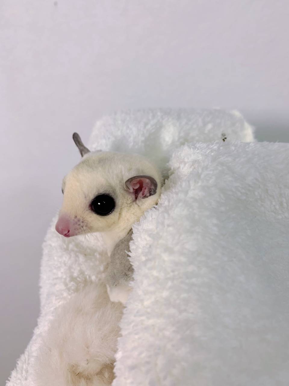 モザイク おとこのこ