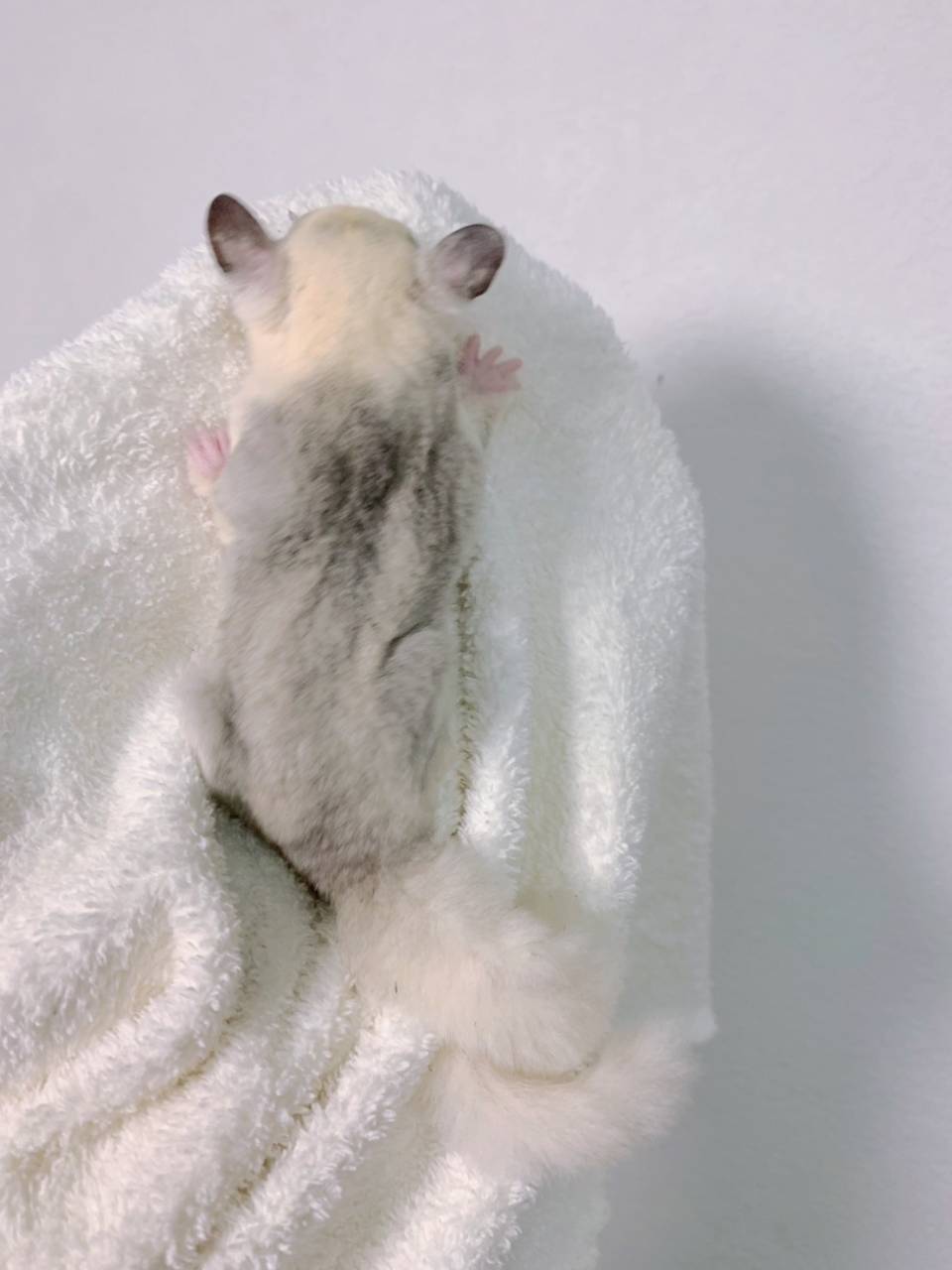 モザイク おとこのこ