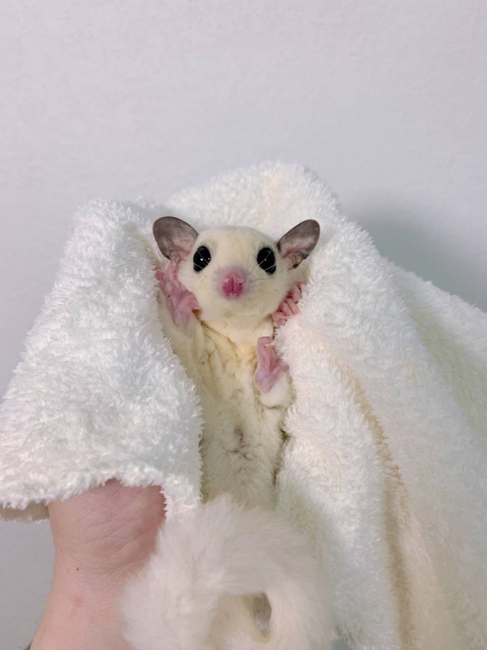 モザイク おとこのこ