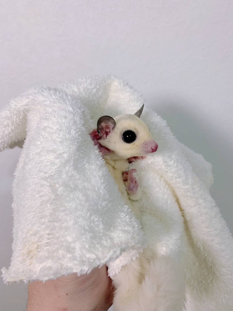 モザイク おとこのこ