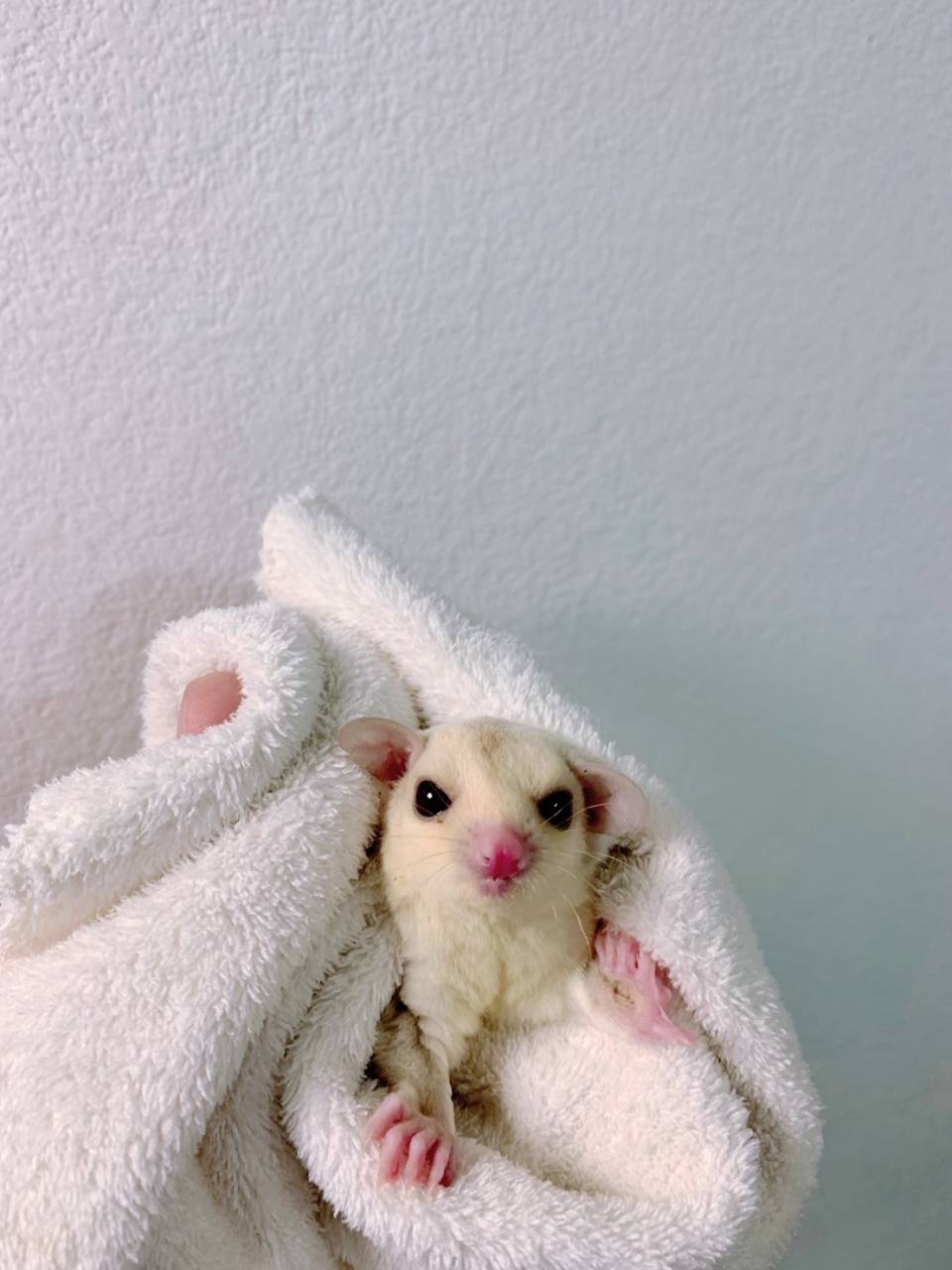 クリミノ おんなのこ