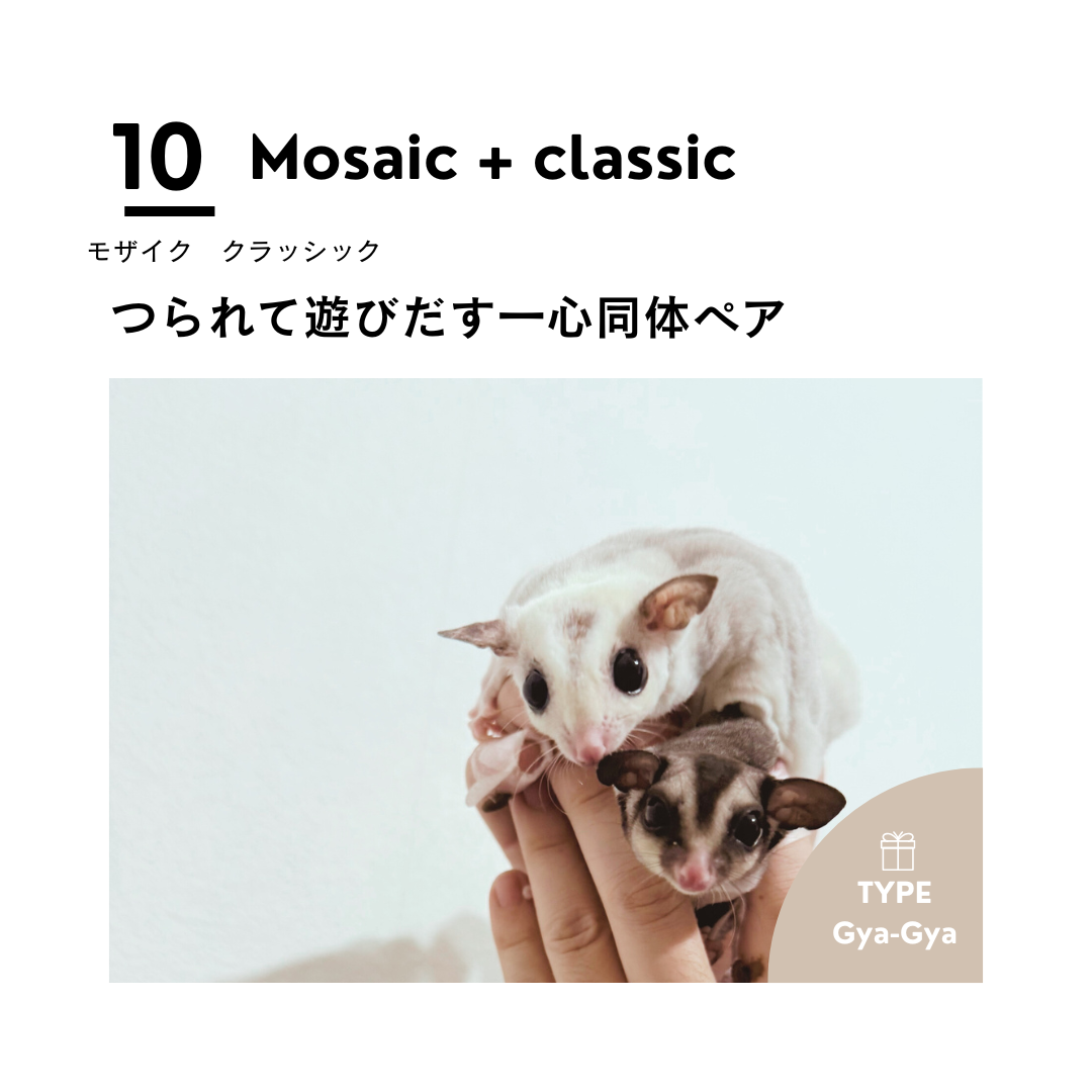 男の子フェス➓