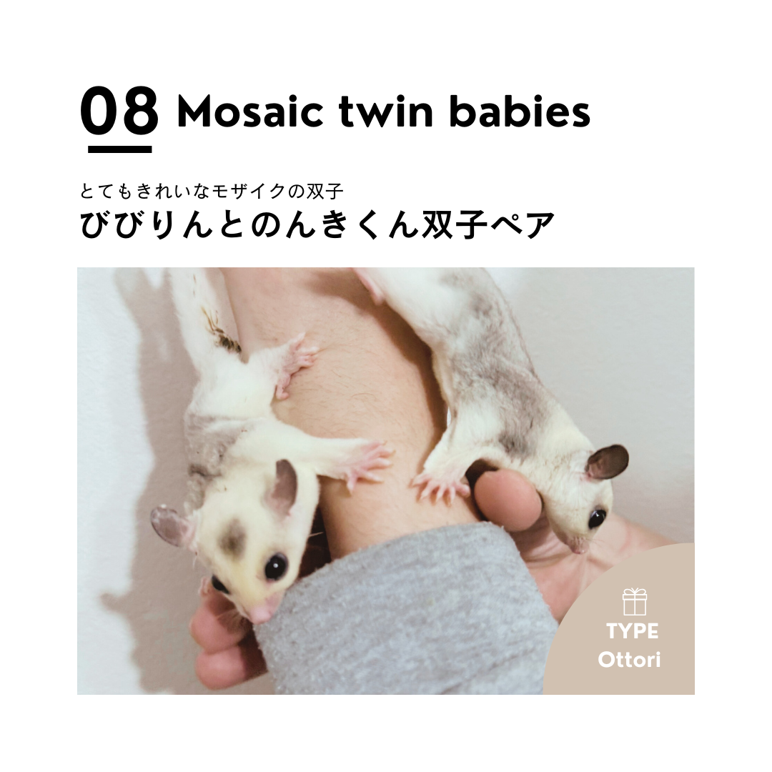 男の子フェス❽