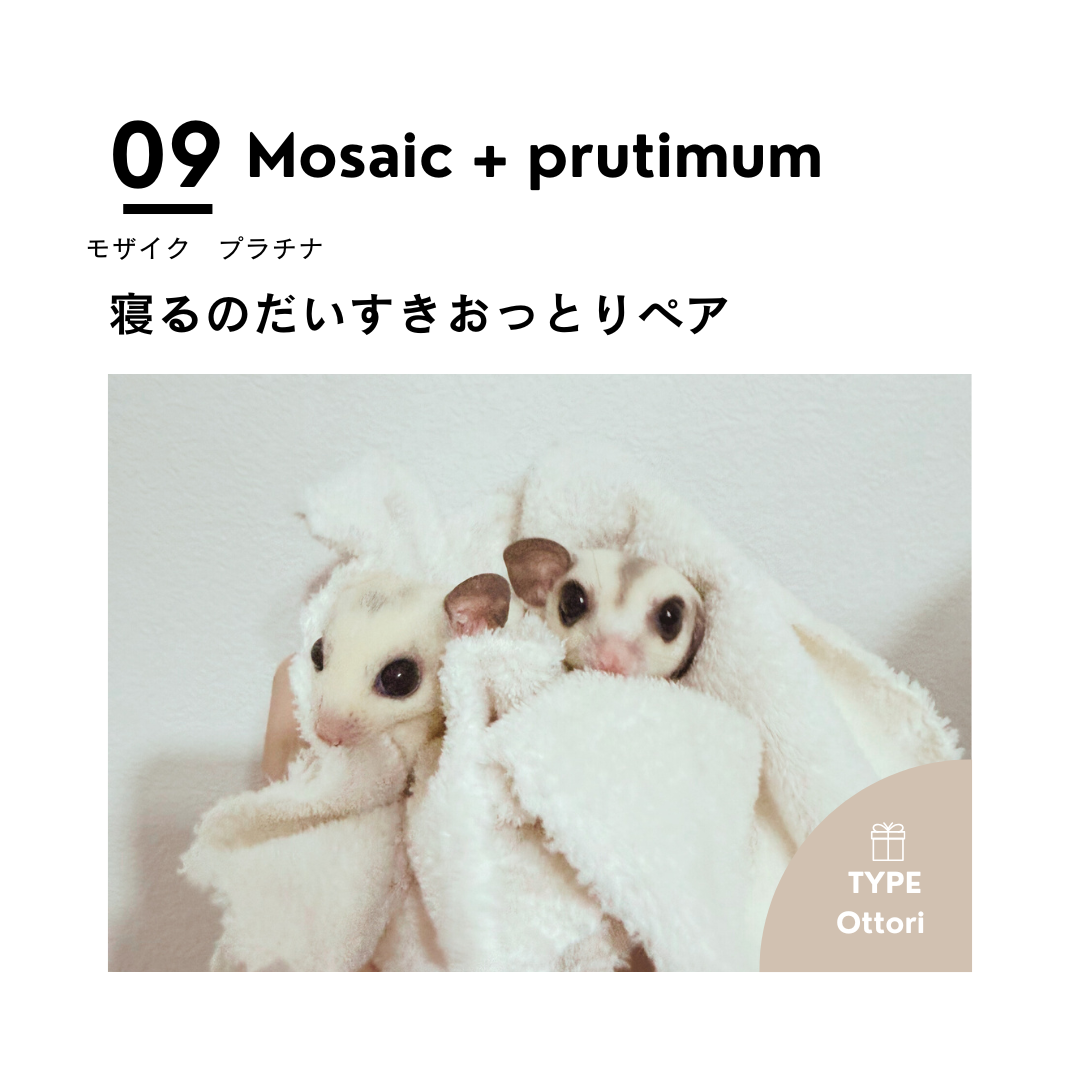 男の子フェス❾