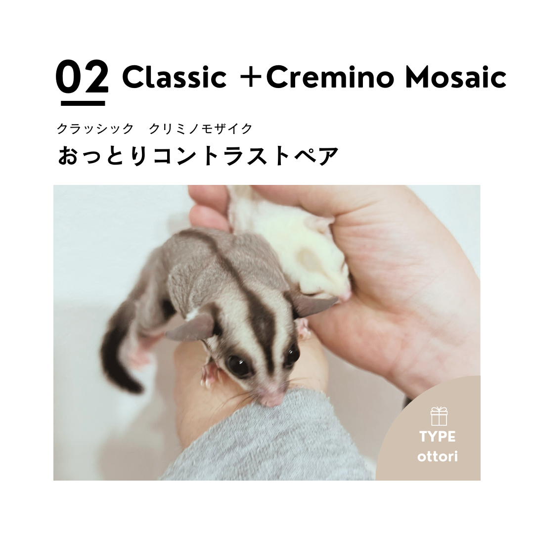 男の子フェス➋おむかえが決まりました