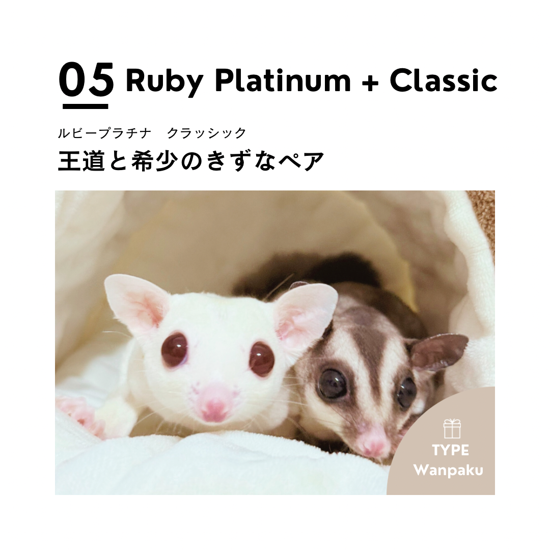 男の子フェス➎