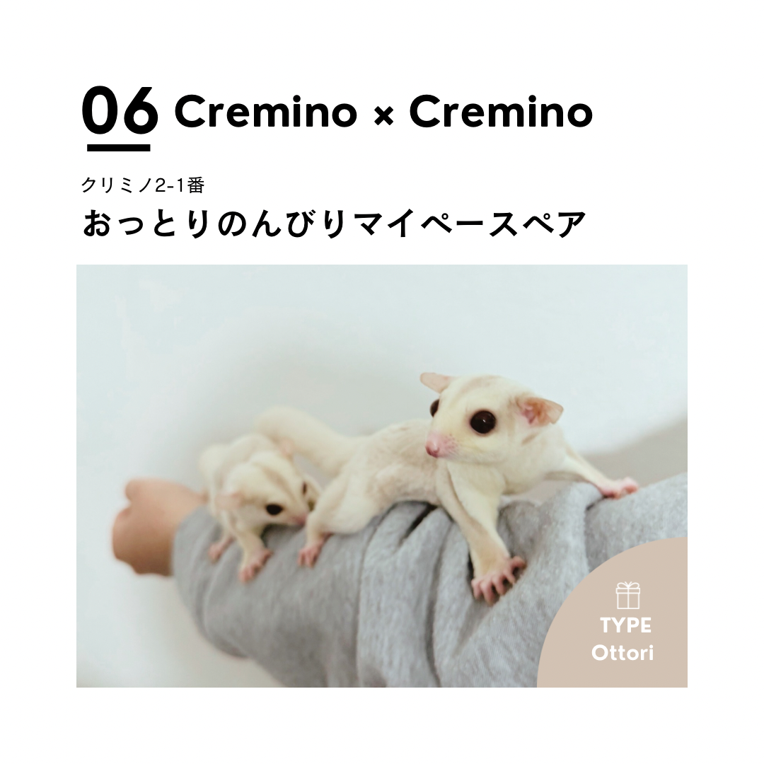 男の子フェス❻